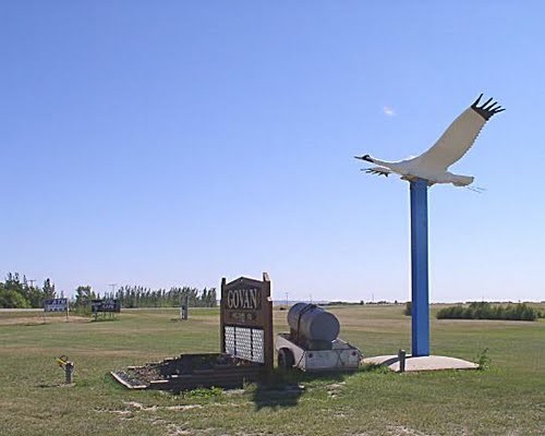 Walter the Whooping Crane - the town mascot