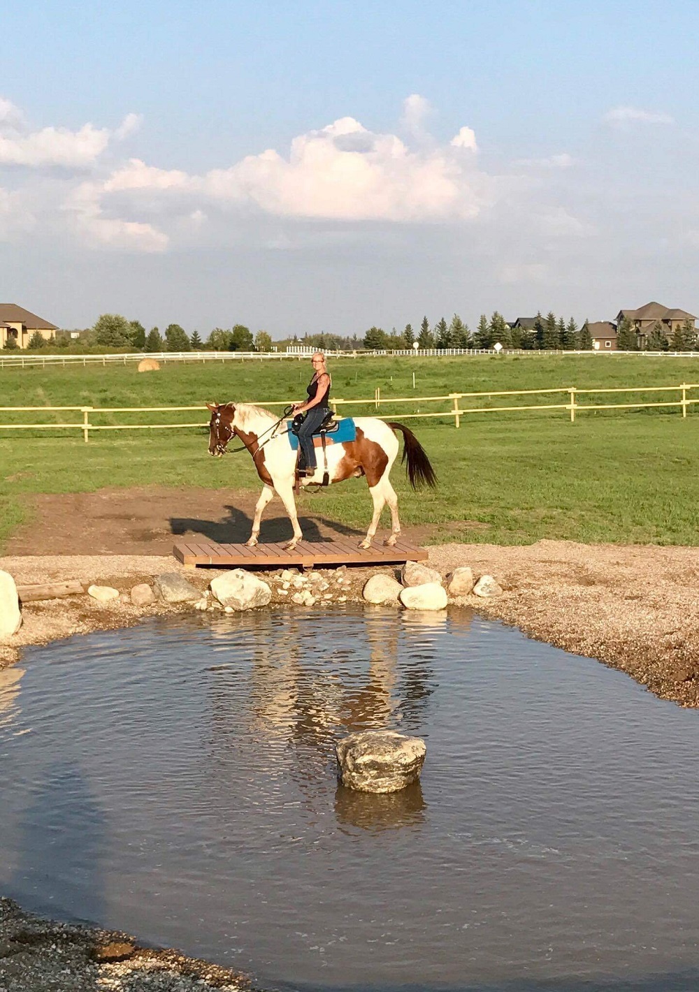 Grasswod Horse Park