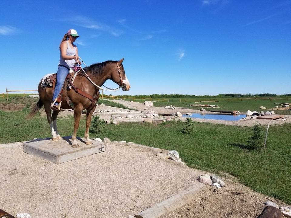 Grasswod Horse Park