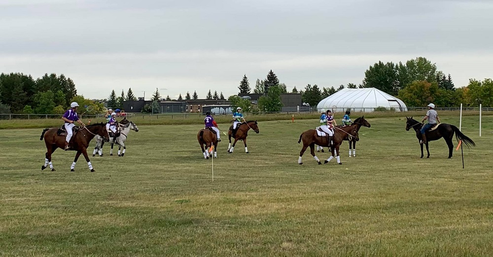 Grasswod Horse Park