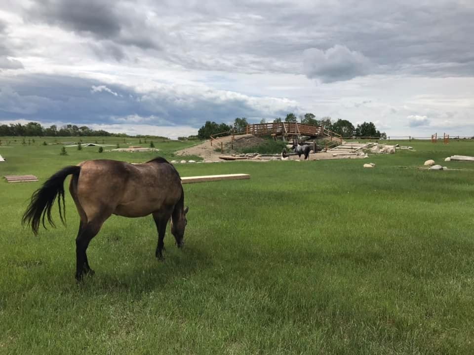 Grasswod Horse Park