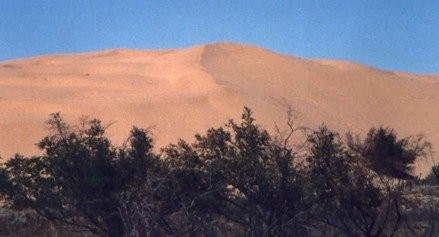 Gull Lake area attaction - Great Sand hills