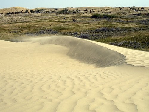 Great Sand Hills - near Sceptre