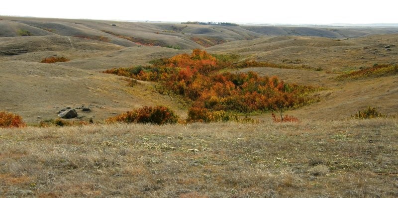 Ancient Echoes Interpretive Centre/Tea Room 