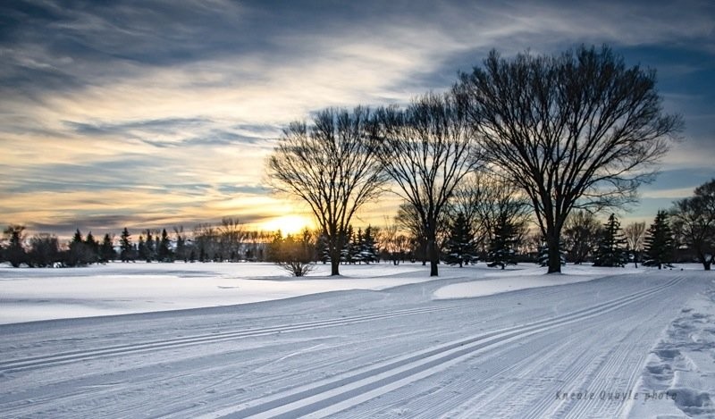 Saskatoon Cross-Country Ski Trails - Holiday Park Golf Course - Photo: Kneale Quayle