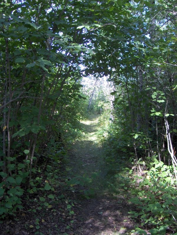 Hudson Bay Trail Network 