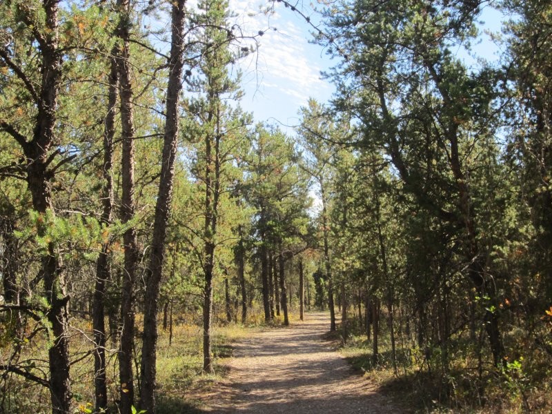  Hudson Bay Trail Network 