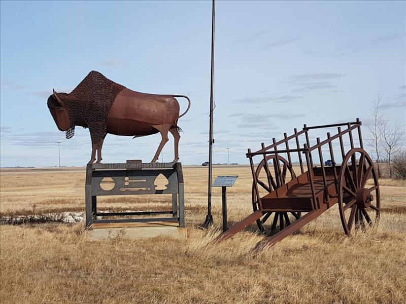 Louis Riel Trail - Bison & Red River Cart, west side of Hwy 11 near Girvin