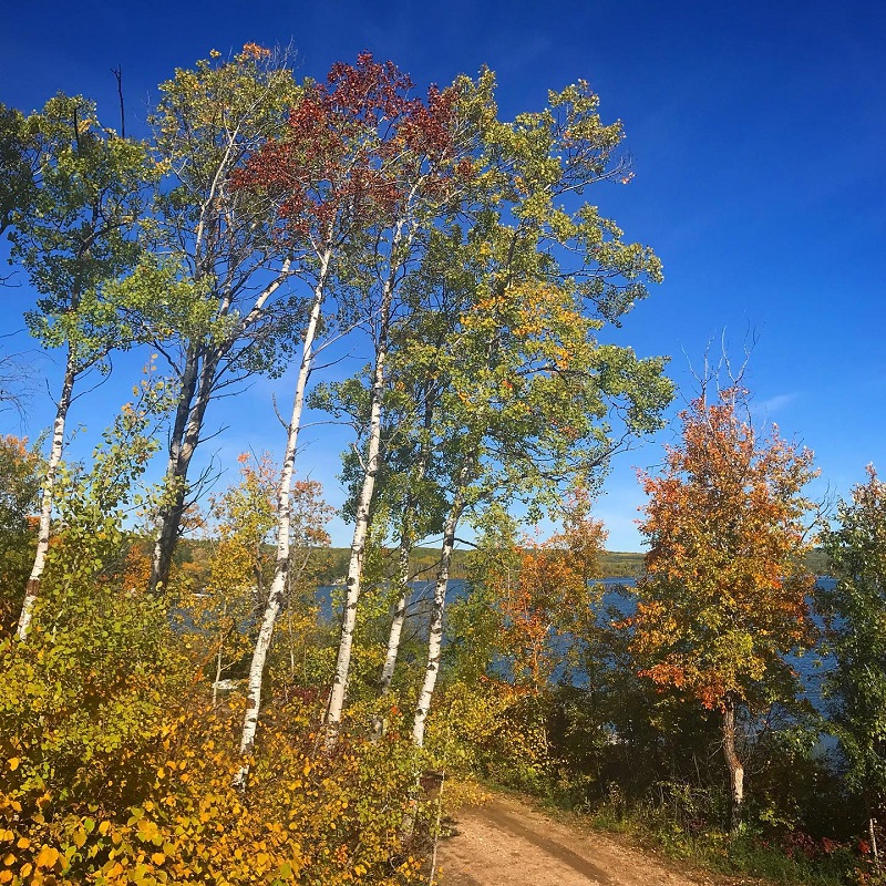 Lac La Peche Resort