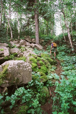 Lac La Ronge Provincial Park 