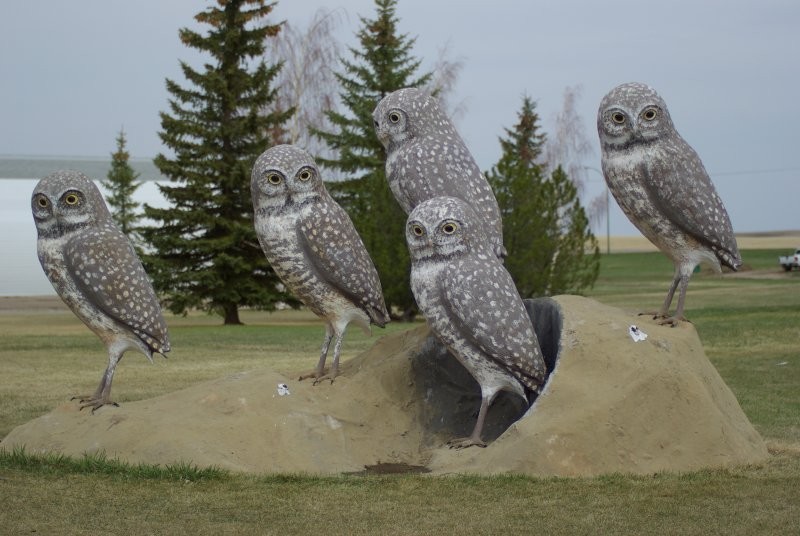 Leader Wildlife Sculptures - Burrowing Owls - Sculpture by Ralph Berg