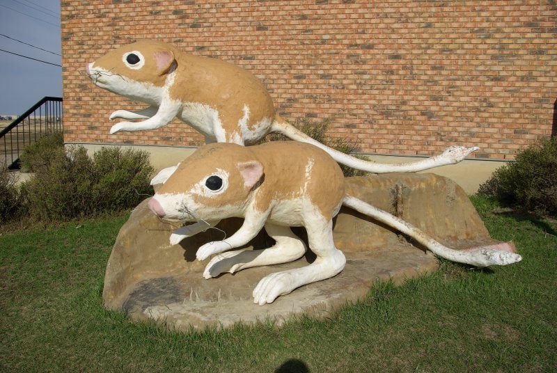 Leader Wildlife Sculptures - Ord's Kangaroo Rat - Sculpture by Ralph Berg