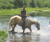 Willow Creek Guest Ranch 