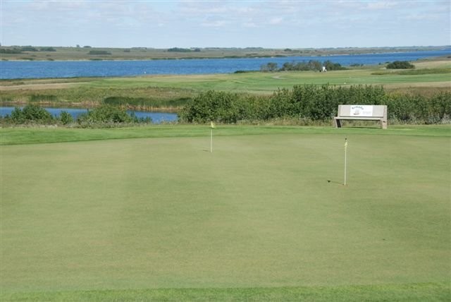 Moose Creek Golf Club - Practice Green