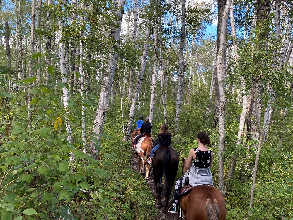 Madge Lake Riding Stables