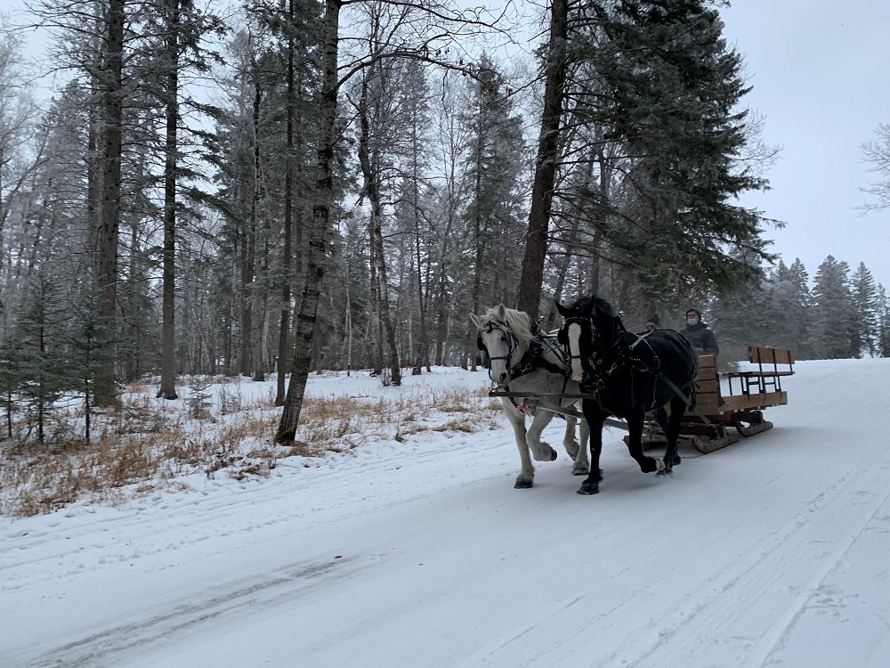 Madge Lake Riding Stables