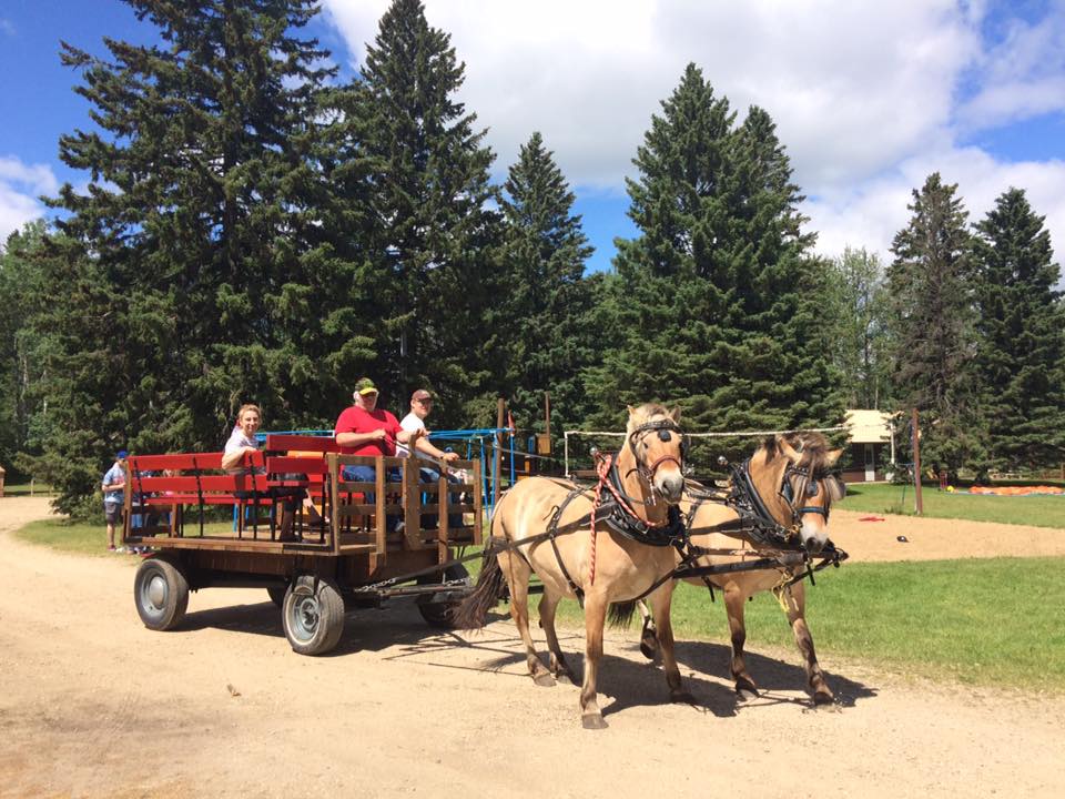 Madge Lake Stables