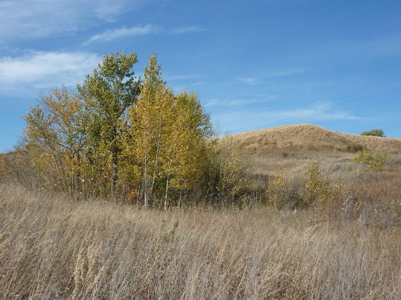 Manitou Beach Trails - Photo: Kathy Rosenkranz