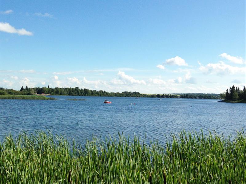 Martins Lake Regional Park