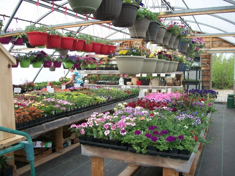  McCord - Greenhouse - Dee's Garden Shed - Open May and June