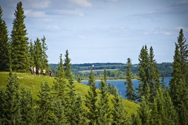 Meadow Lake Provincial Park Boreal Trail 