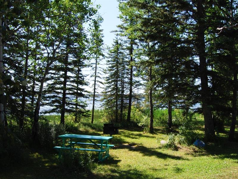 Meeting Lake Regional Park