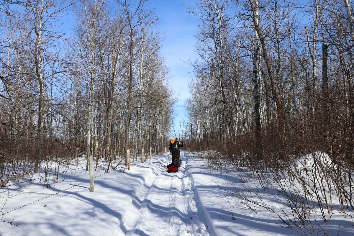 Snowshoeing in Moose Mountain Provincial Park