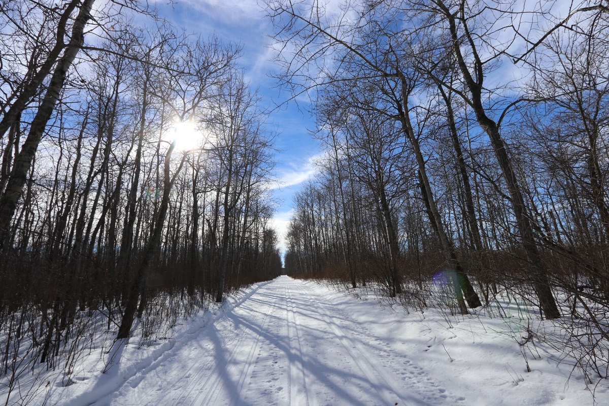 Moose Mountain Provincial Park trails