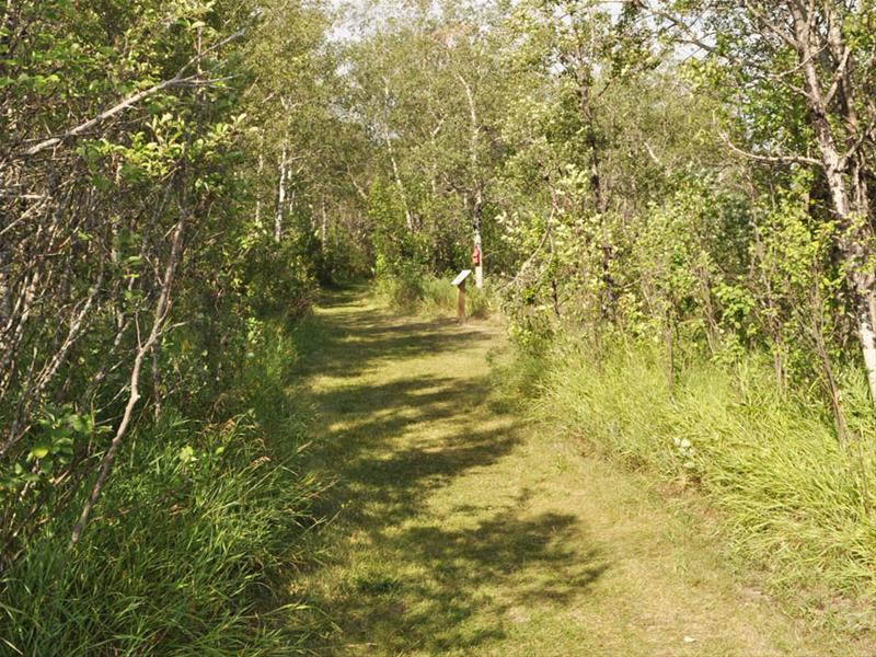 Moosomin & District Regional Park