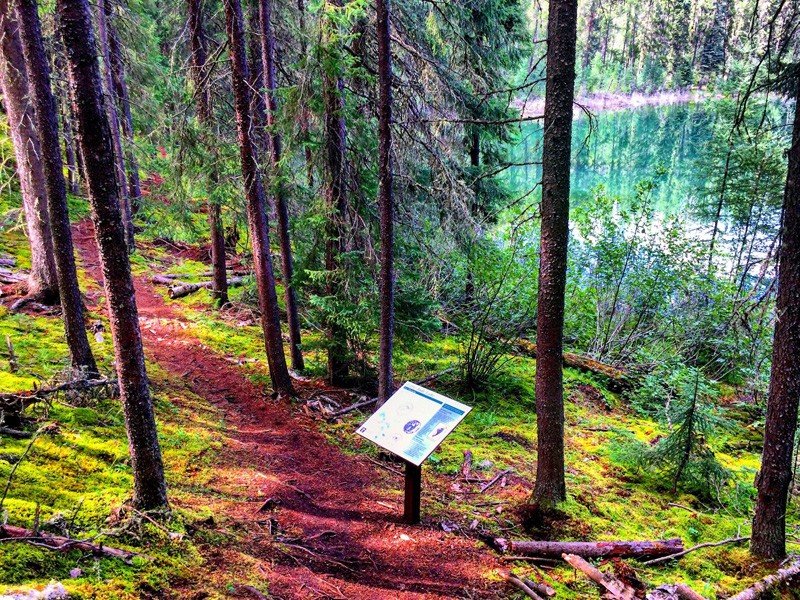 Narrow Hills Provincial Park 