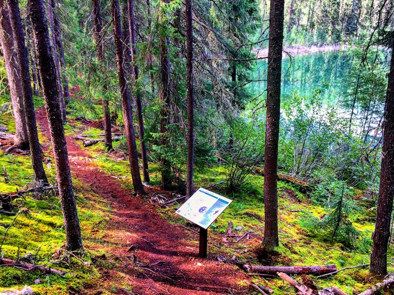 Narrow Hills Provincial Park Trails
