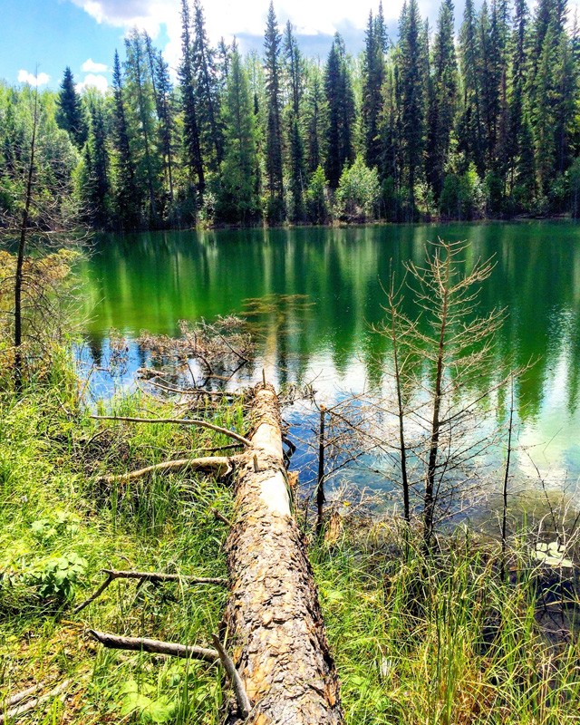 Narrow Hills Provincial Park 