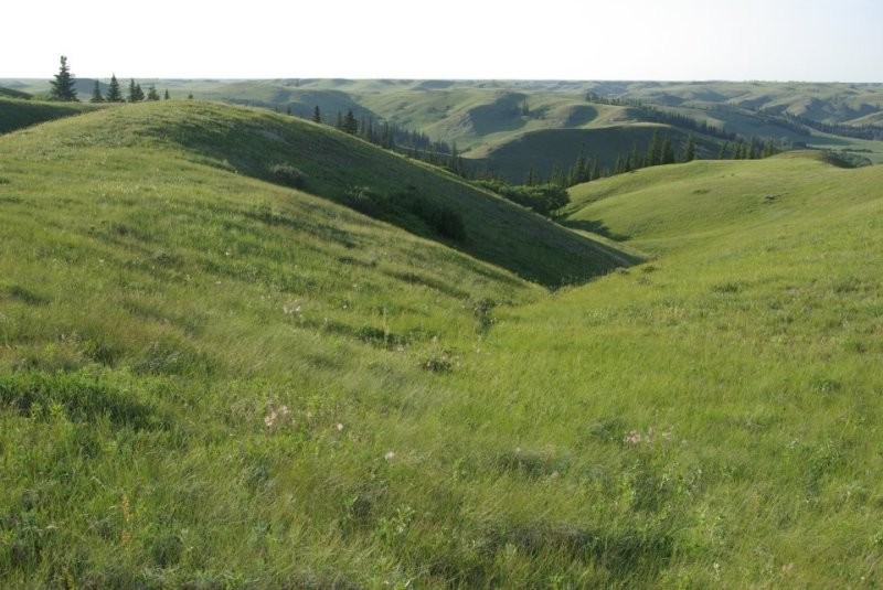 At Cypress Hills National Park