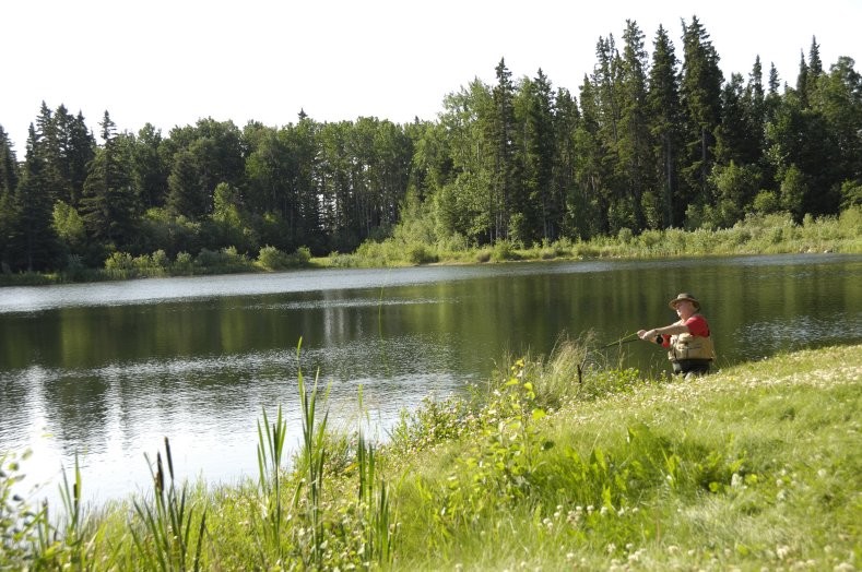 Candle Lake Provincial Park 