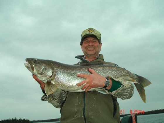 Oliver Lake Wilderness Lodge 