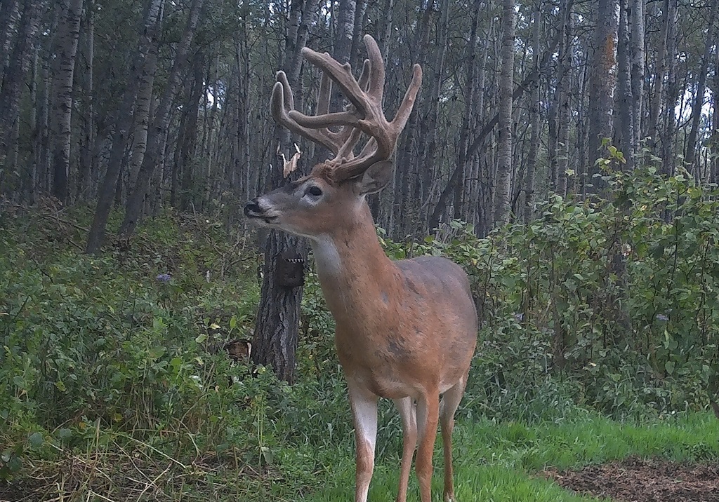 Otter Creek Outfitters