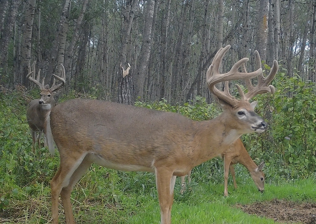 Otter Creek Outfitters