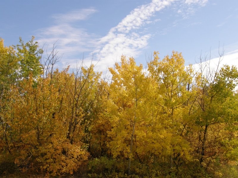 Redberry Lake Regional Park | Tourism Saskatchewan