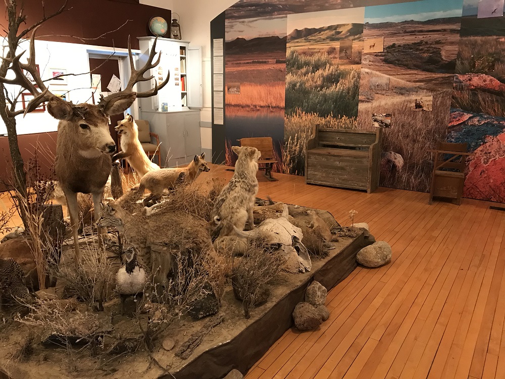 Prairie Wind & Silver Sage - Museum
