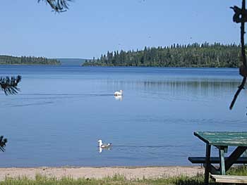 Pierce Lake Lodge 