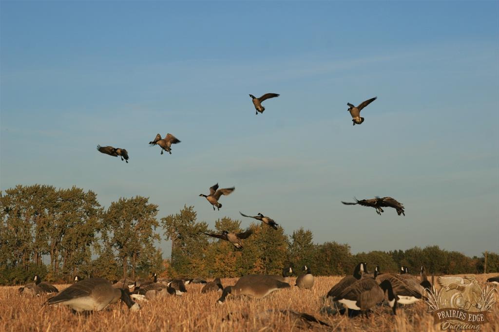 Prairies Edge Outfitting