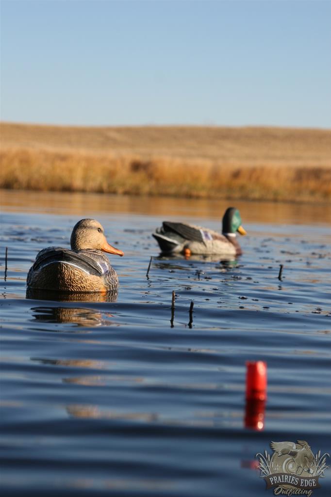 Prairies Edge Outfitting