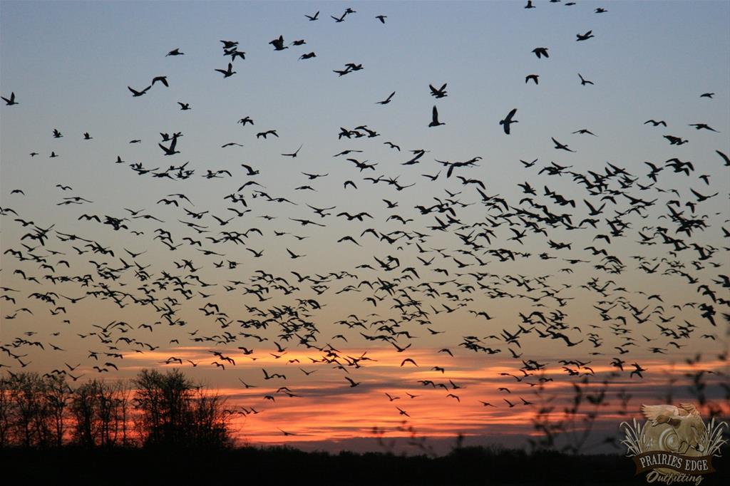 Prairies Edge Outfitting