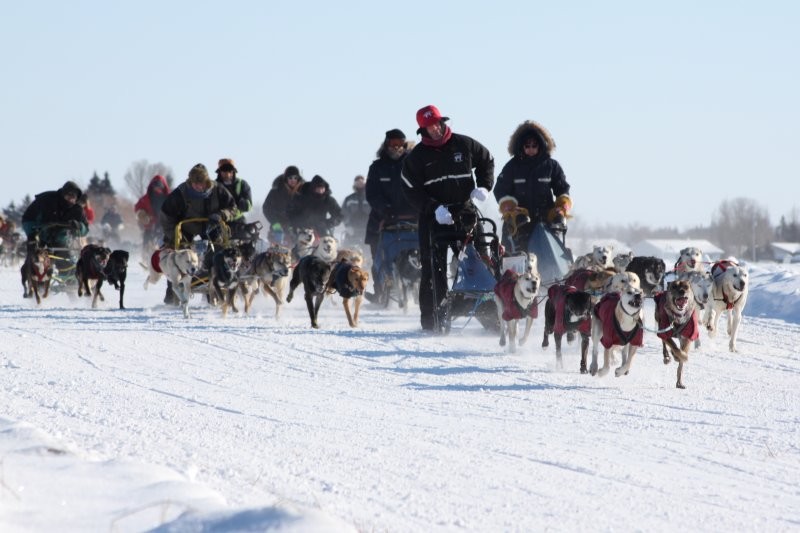 Preeceville - Mushers