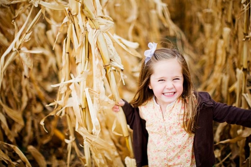 Happy Hollow Corn Maze, Family Farm & Fall Festival