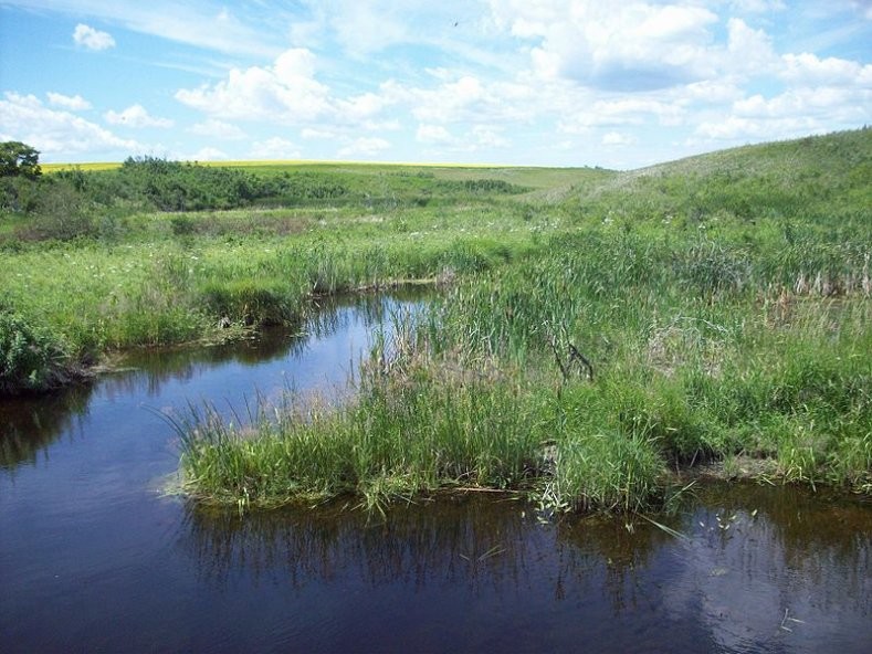 Qu'Appelle - South Coulee