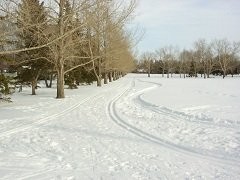 Regina Cross-Country Ski Trails - Douglas Park
