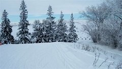 Regina Cross-Country Ski Trails - Regina Douglas Park Foothill