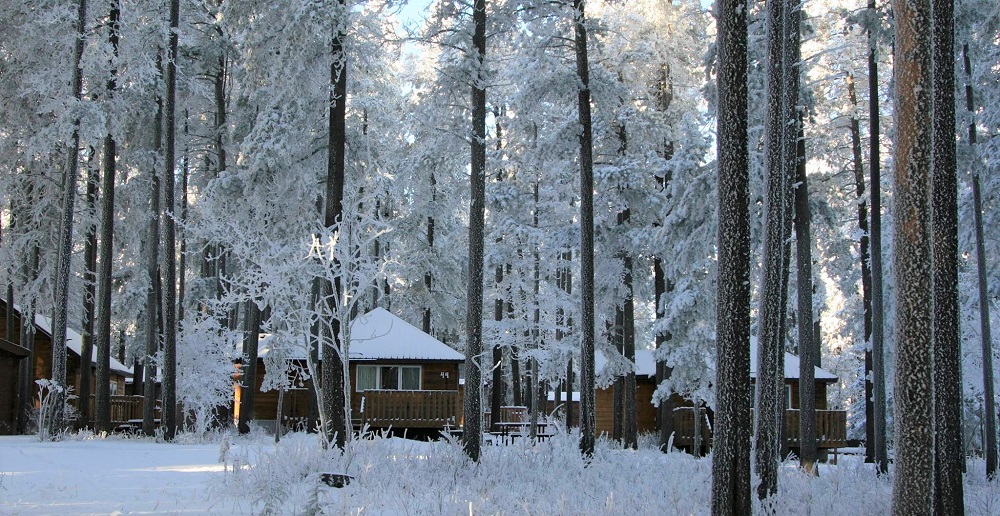 The Resort at Cypress Hills - Rental cabins