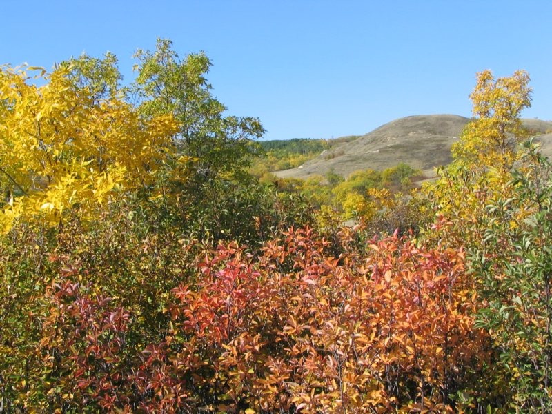 Rockglen - Fall foliage picture, taken on the Yost Wildlife Hike.